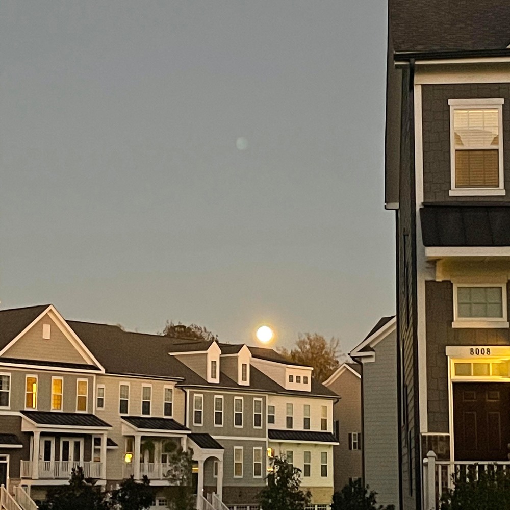 Meet your Posher, A josh